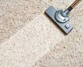 Carpet Drying Perth