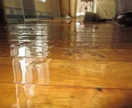 Water Damage Restoration Perth