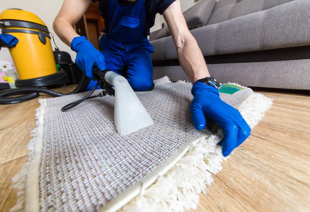 Rugs Cleaning Perth